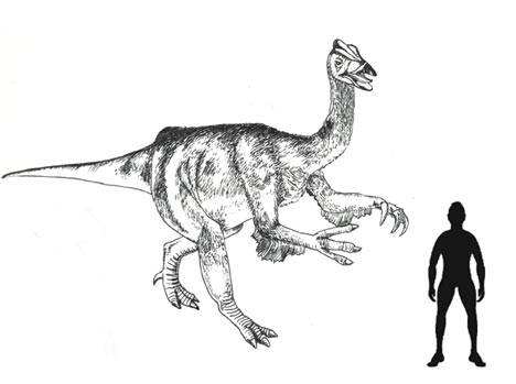 Deinocheirus, the giant hunchbacked dinosaur with