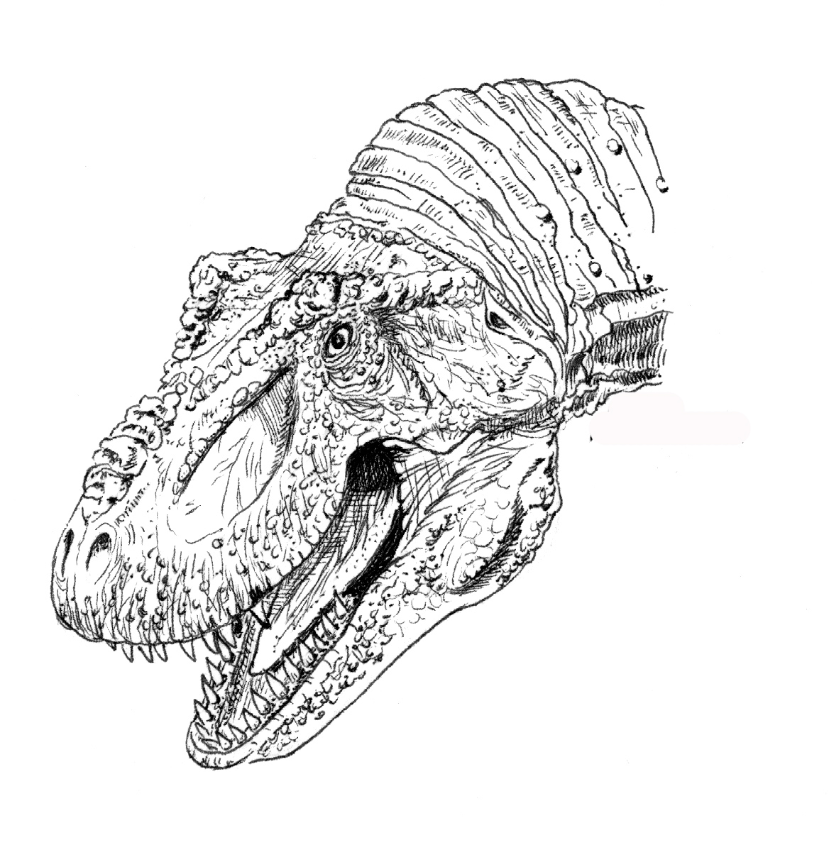 How to Draw Dinosaur: Tyrannosaurus Rex and Triceratops 