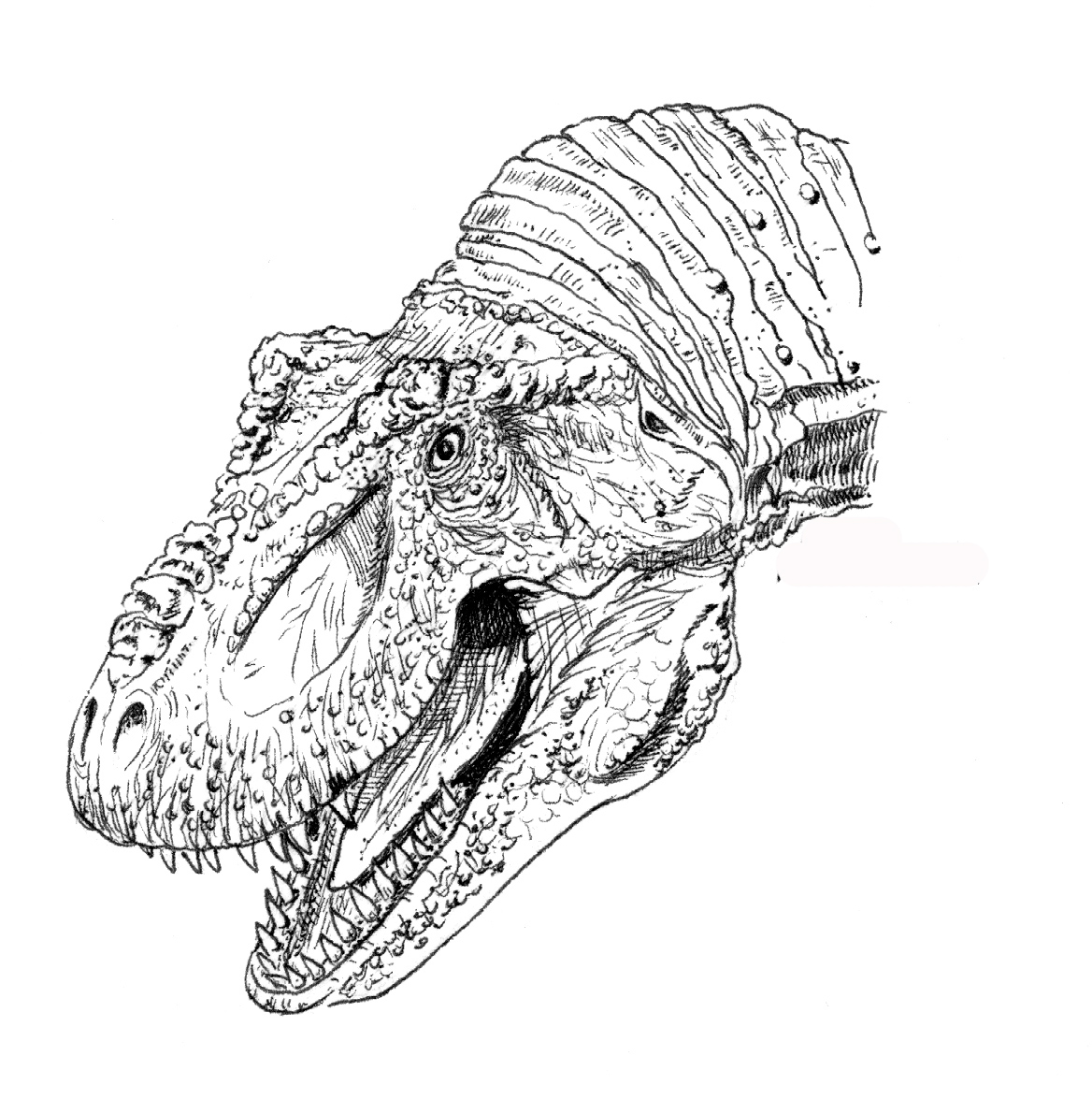 Tyrannosaurus (T-Rex), Habitat + Lifestyle + Diet