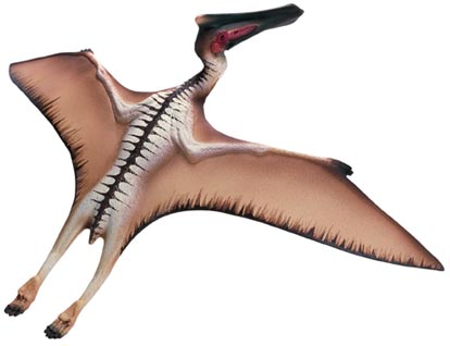 PTEROSAURS . size comparison and data. Flying reptiles 