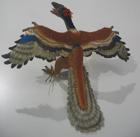 Papo ARCHAEOPTERYX solid plastic toy Jurassic bird DINOSAUR animal NEW * 
