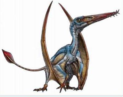 New Long-tailed Pterosaur from Patagonia