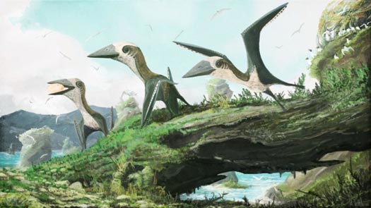 Jet-Size Pterosaurs Took Off from Prehistoric Runways