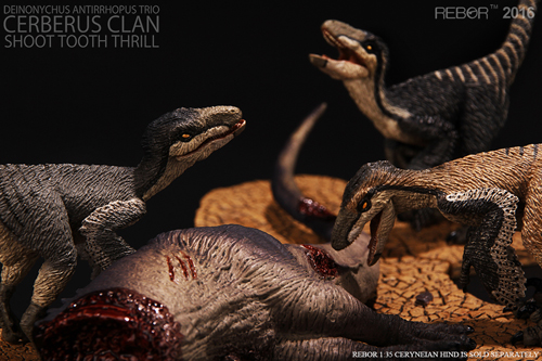 Deinonychus VS Raptor