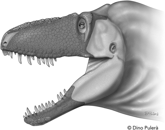 Tyrannosaurus rex was a sensitive lover, new dinosaur discovery suggests, Dinosaurs