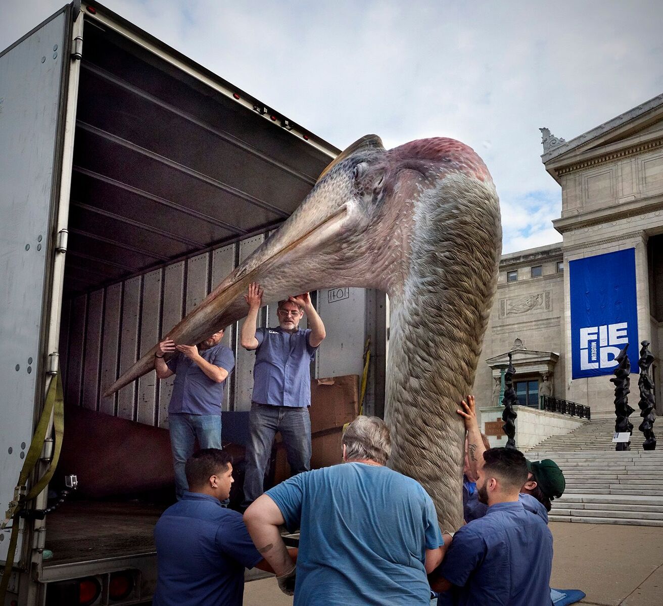 Field Museum on X: Pterosaur flock has landed! 🛬 Rhamphorhynchus (top  right) and Pteranodon (left) are awaiting installation in our main hall.  Quetzalcoatlus is settling in outside of Evolving Planet. Learn more