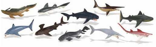 prehistoric shark size