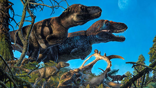 Annotated by the Author: 'Tiny Tyrannosaur Hints at How T. Rex