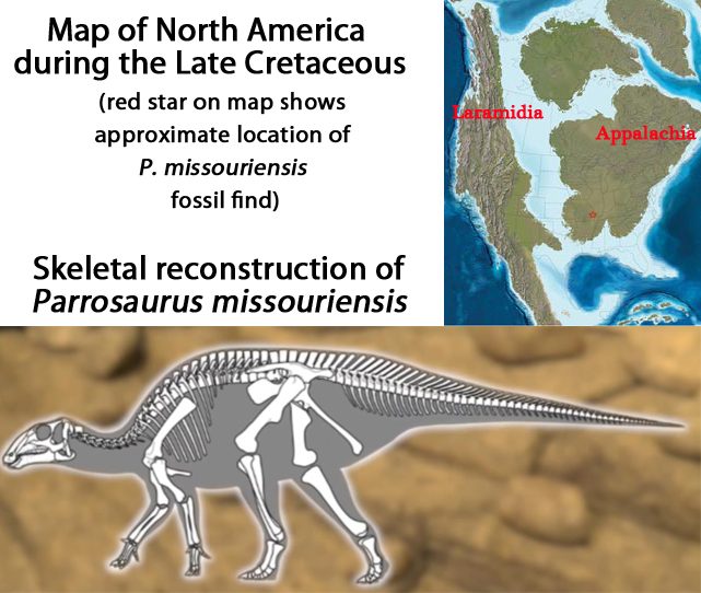 Paleontologists Stunning Conclusion: 2.5 Billion T. Rexes Roamed North  America Over the Cretaceous Period