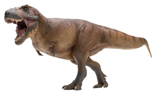 Cameron the T. rex Dinosaur Model is Reviewed