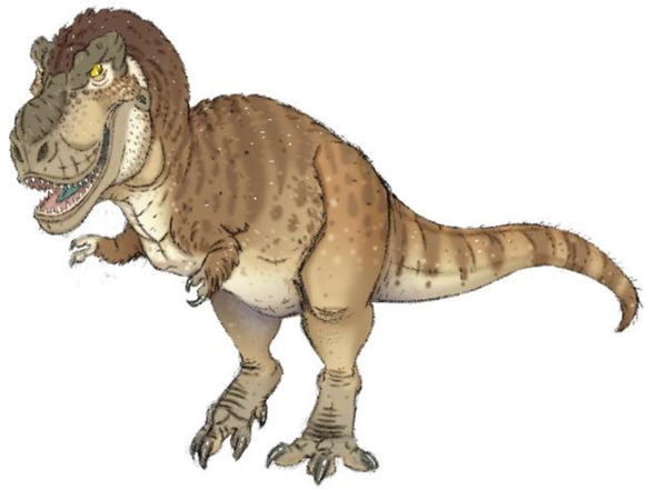 Annotated by the Author: 'Tiny Tyrannosaur Hints at How T. Rex