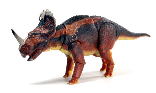 The missing Monoclonius.  A replica of a juvenile Centrosaurus