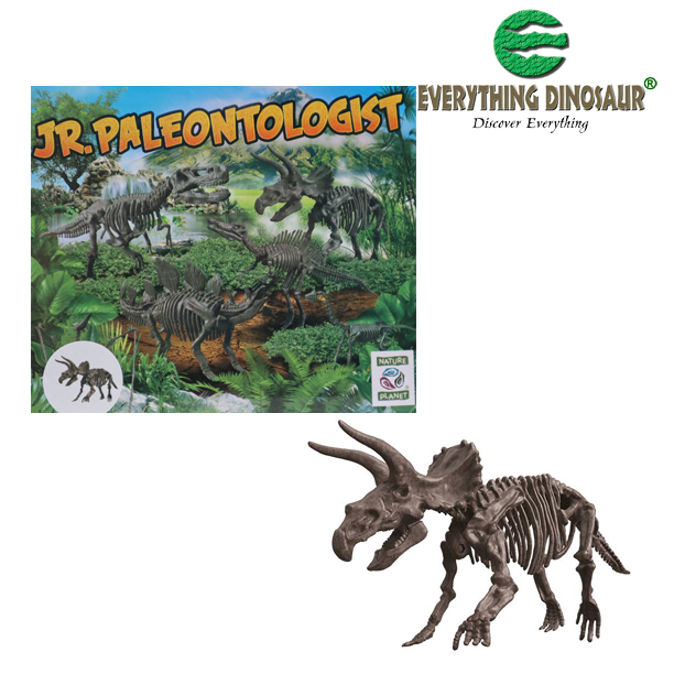 Triceratops skeleton dig kit.