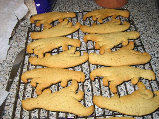 Dinosaur biscuits