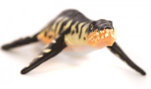 The CollectA Age of Dinosaurs Liopleurodon model.