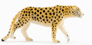 A model of a cheetah (PNSO).