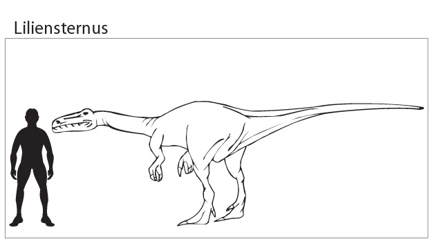 Liliensternus Dinosaur Drawing