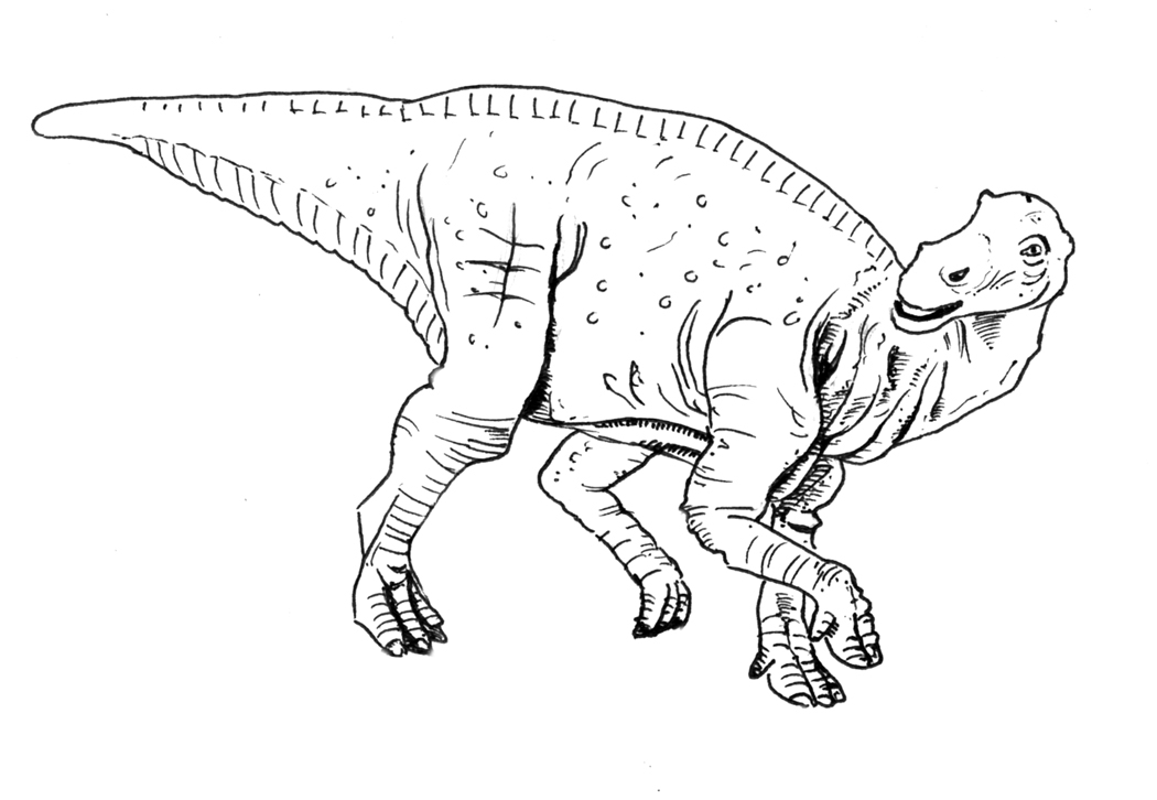 Aussie dinosaur.