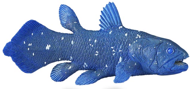 Ancient fish model - Coelacanth