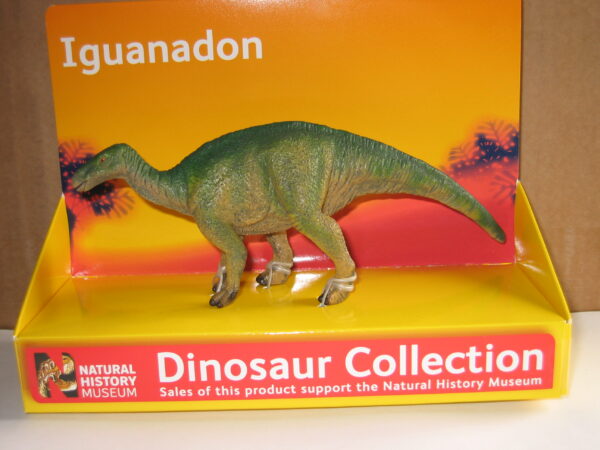 Iguanodon dinosaur model.