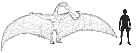 Flying reptile Ornithocheirus.