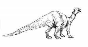 Everything Dinosaur's illustration of "Sinew Lizard"