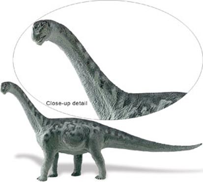 Camarasaurus dinosaur model.