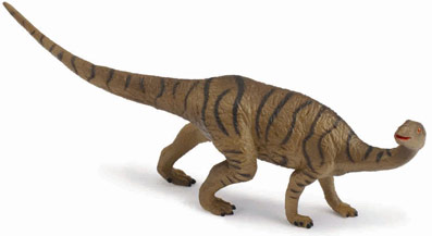 Camptosaurus dinosaur model.