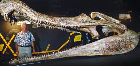 Skull of Sarcosuchus.