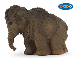 Baby Woolly Mammoth - the New Lyuba?