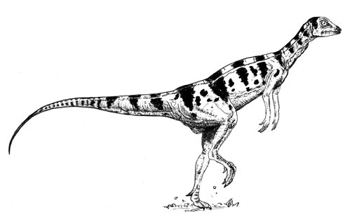 A drawing of Thescelosaurus.