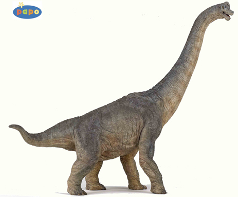 Large size model of a Brachiosaurus (Papo Brachiosaurus)