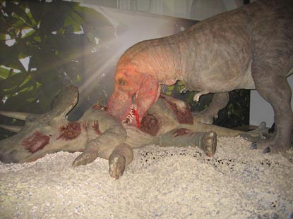 Tyrannosaurus rex feeding habits.