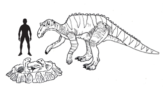 Dinosaurs and spaceflight. Maiasaura fossils have been into space. Happy Mother's Day.