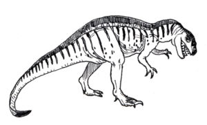 An illustration of Acrocanthosaurus.
