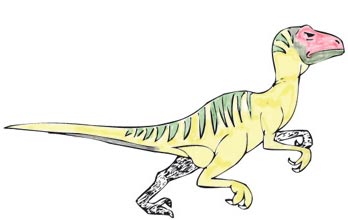 Fast-running, active, warm-blooded dinosaurs