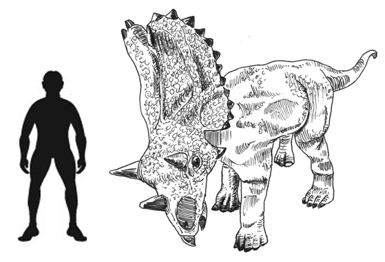 Utahceratops scale drawing.