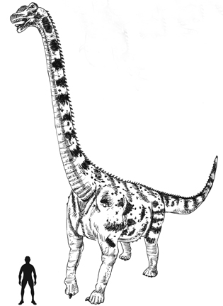 Illustration of a giant titanosaur.