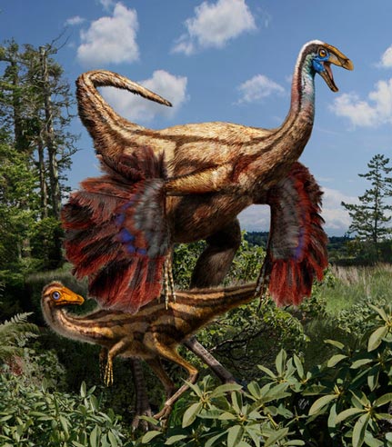 A feathered ornithomimid dinosaur.