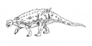 Minmi paravertebra illustrated.
