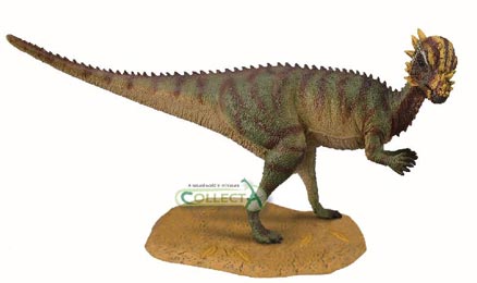 A lithe Pachycephalosaurus dinosaur model.