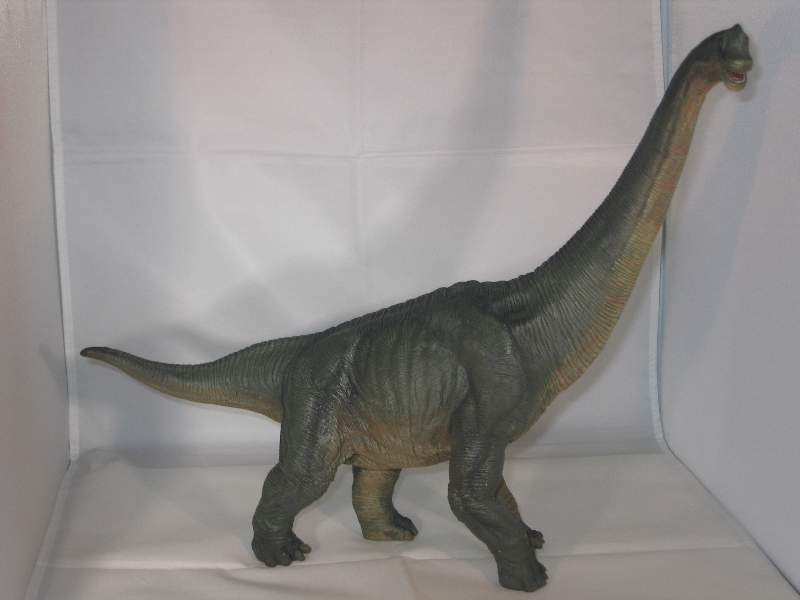 Papo Brachiosaurus dinosaur model. Exploring the laws of Darwinism.