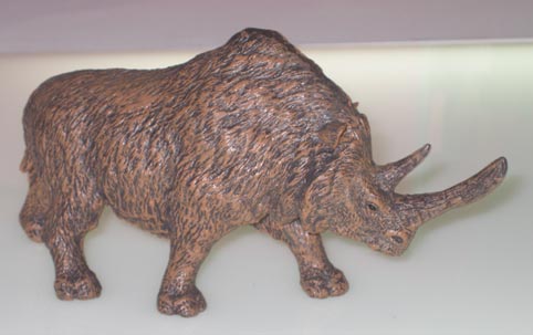 Woolly Rhino (Coelodonta antiquitatis).