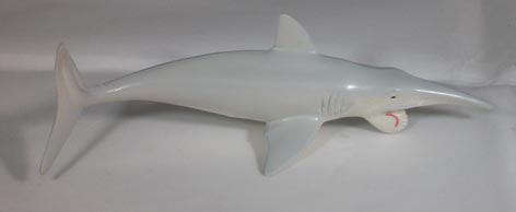 Model play set includes Helicoprion replica