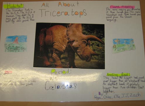A Triceratops Dinosaur poster.