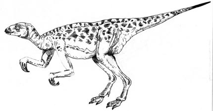Everything Dinosaur's interpretation of Valdosaurus.