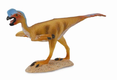 A model of an Oviraptor.