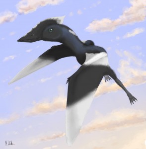 Pterosaur named after school girl.