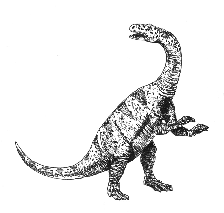 Lufengosaurus drawing.