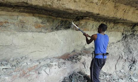 University of Antananarivo student Liva Ratsimbaholison excavates Dahalokely in 2010